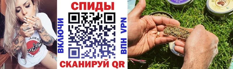 сколько стоит  Бакал  Бутират BDO 33% 