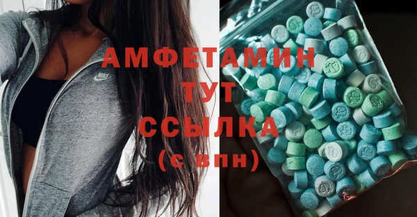 ECSTASY Алзамай