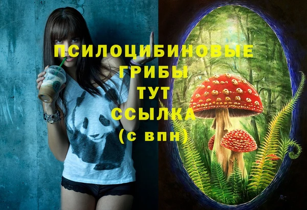 таблы Алексеевка
