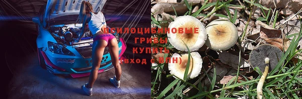 таблы Алексеевка