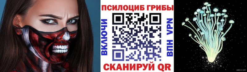 Галлюциногенные грибы GOLDEN TEACHER  Бакал 